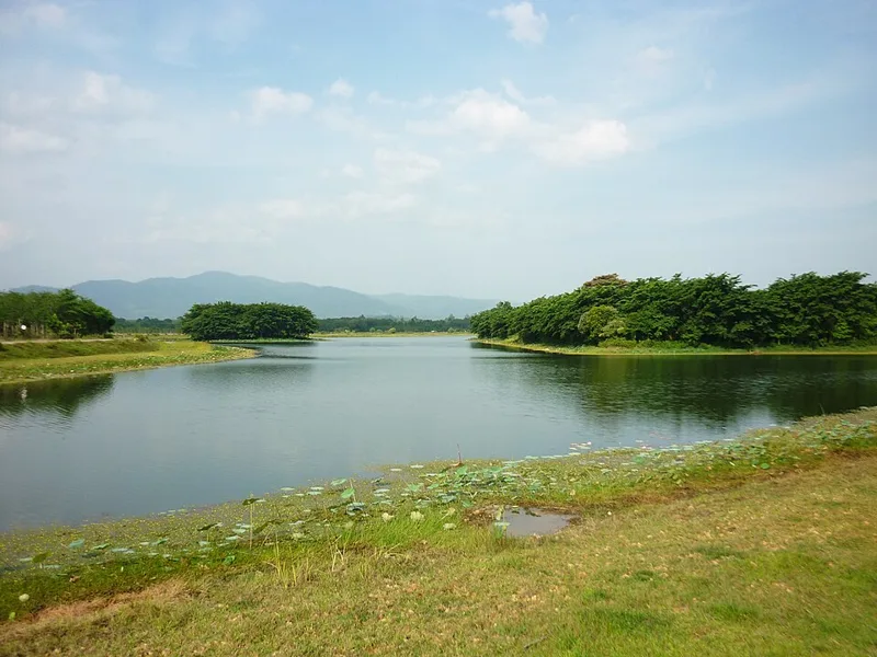 สถานที่ในยะลา — บึงน้ำใส ตะโล๊ะหะลอ - panoramio
