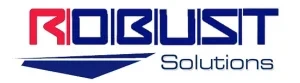 Robust Solutions